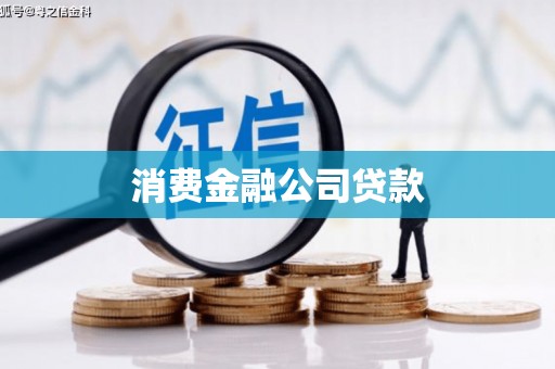 仑背消费金融公司贷款