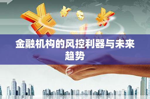 仑背金融机构的风控利器与未来趋势