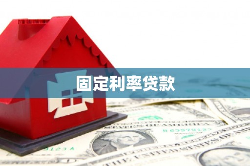 仑背固定利率贷款