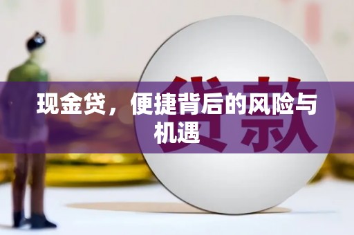 仑背现金贷，便捷背后的风险与机遇