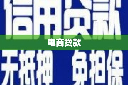 仑背电商贷款