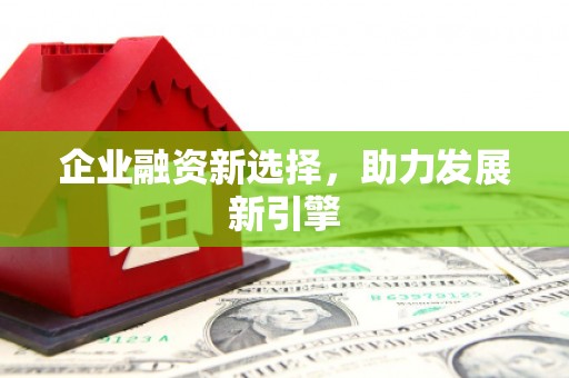 仑背企业融资新选择，助力发展新引擎