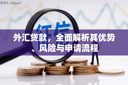 仑背外汇贷款，全面解析其优势、风险与申请流程