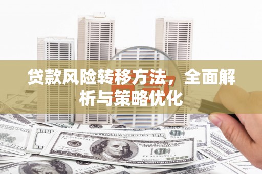 仑背贷款风险转移方法，全面解析与策略优化