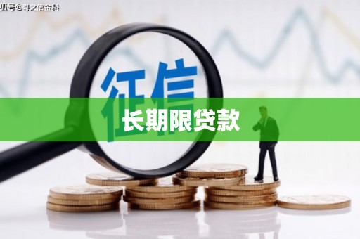 仑背长期限贷款