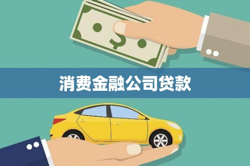 仑背消费金融公司贷款