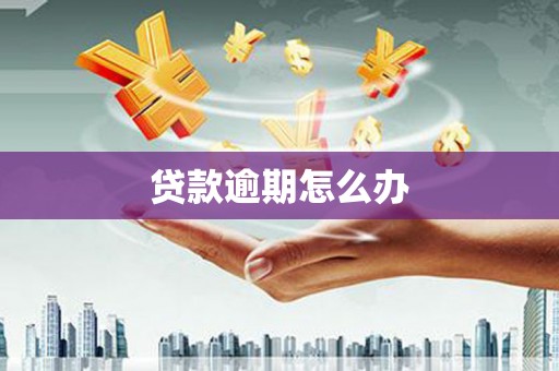 仑背贷款逾期怎么办