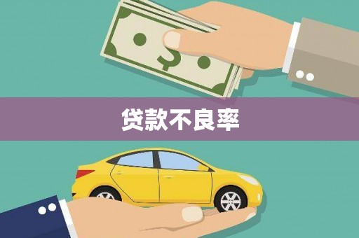 仑背贷款不良率
