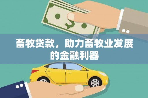 仑背畜牧贷款，助力畜牧业发展的金融利器