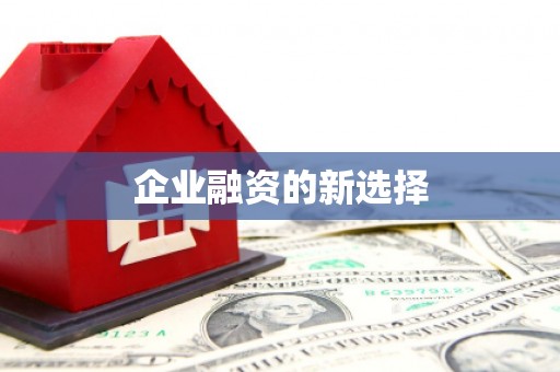 仑背企业融资的新选择
