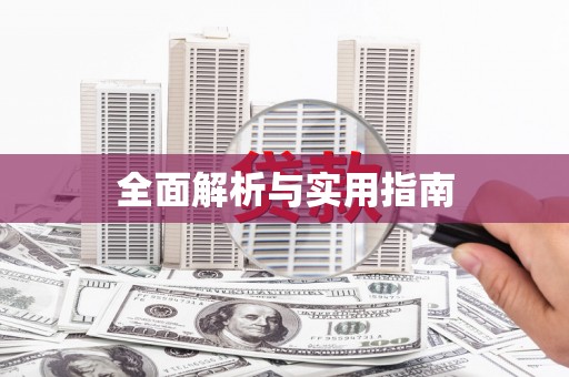 仑背全面解析与实用指南