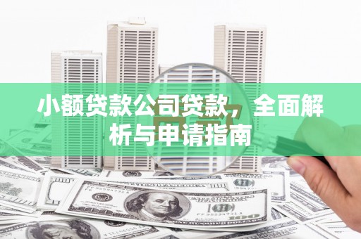 仑背小额贷款公司贷款，全面解析与申请指南