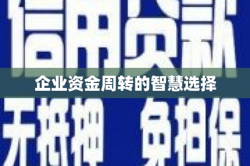 仑背企业资金周转的智慧选择
