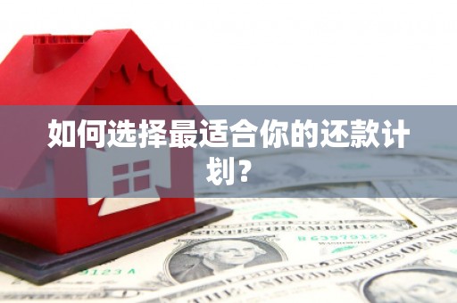 仑背如何选择最适合你的还款计划？