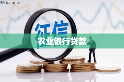 仑背农业银行贷款