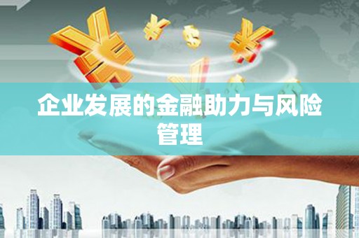 仑背企业发展的金融助力与风险管理