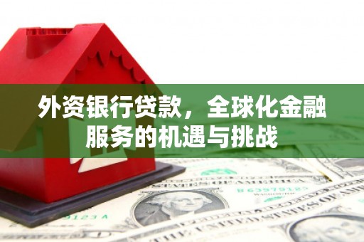 仑背外资银行贷款，全球化金融服务的机遇与挑战