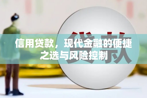 仑背信用贷款，现代金融的便捷之选与风险控制