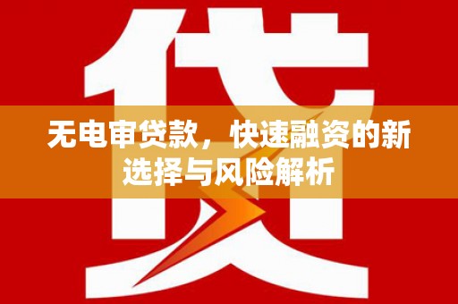 仑背无电审贷款，快速融资的新选择与风险解析