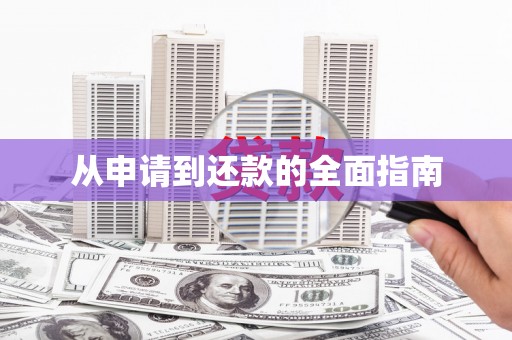 仑背从申请到还款的全面指南