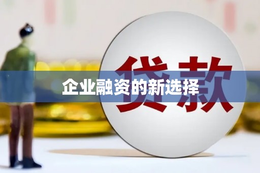 仑背企业融资的新选择