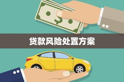 仑背贷款风险处置方案