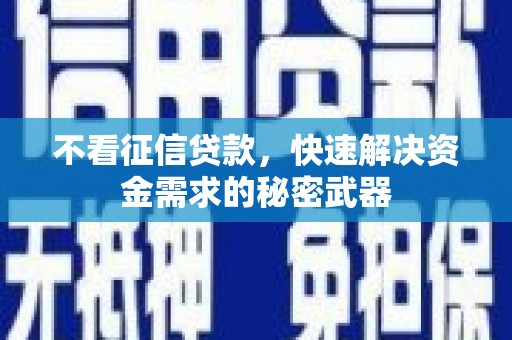 仑背不看征信贷款，快速解决资金需求的秘密武器