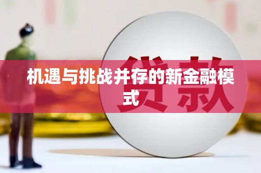 仑背机遇与挑战并存的新金融模式