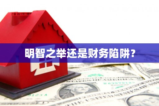 仑背明智之举还是财务陷阱？