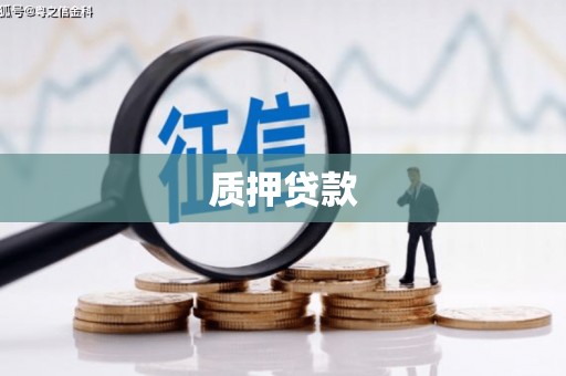 仑背质押贷款