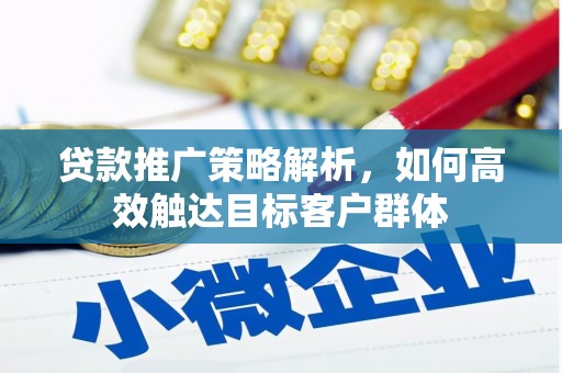 仑背贷款推广策略解析，如何高效触达目标客户群体