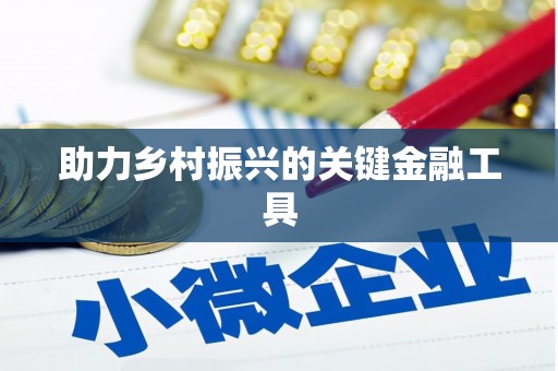 仑背助力乡村振兴的关键金融工具