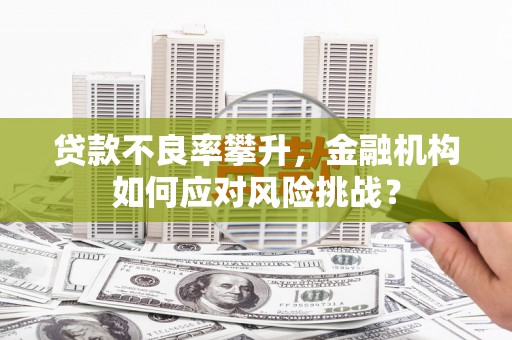 仑背贷款不良率攀升，金融机构如何应对风险挑战？