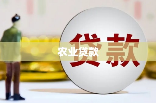 仑背农业贷款