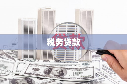 仑背税务贷款