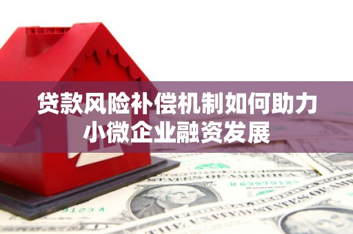 仑背贷款风险补偿机制如何助力小微企业融资发展