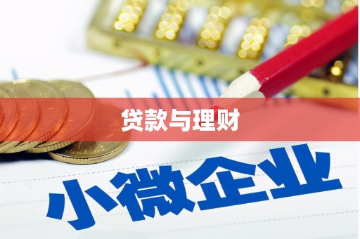 仑背贷款与理财