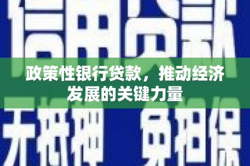 仑背政策性银行贷款，推动经济发展的关键力量