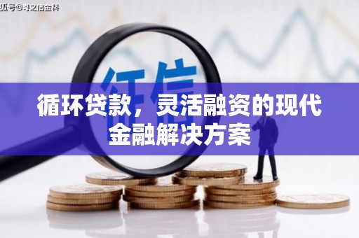 仑背循环贷款，灵活融资的现代金融解决方案