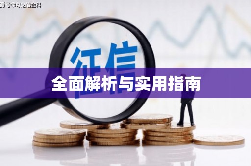 仑背全面解析与实用指南