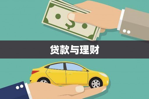 仑背贷款与理财