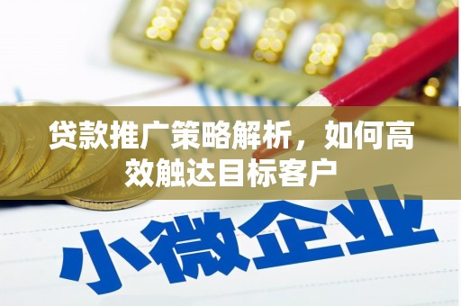 仑背贷款推广策略解析，如何高效触达目标客户