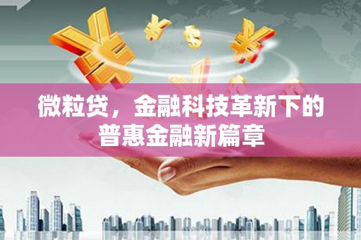 仑背微粒贷，金融科技革新下的普惠金融新篇章
