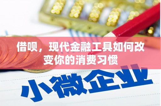 仑背借呗，现代金融工具如何改变你的消费习惯