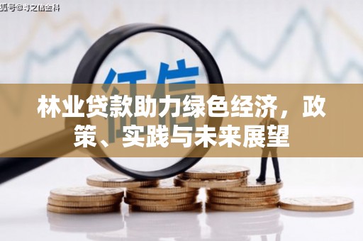 仑背林业贷款助力绿色经济，政策、实践与未来展望
