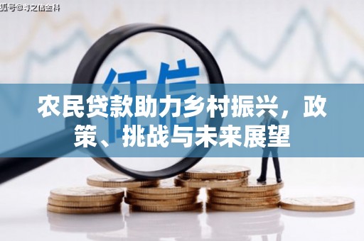 仑背农民贷款助力乡村振兴，政策、挑战与未来展望