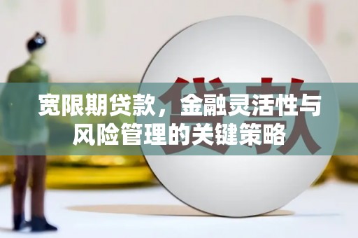 仑背宽限期贷款，金融灵活性与风险管理的关键策略