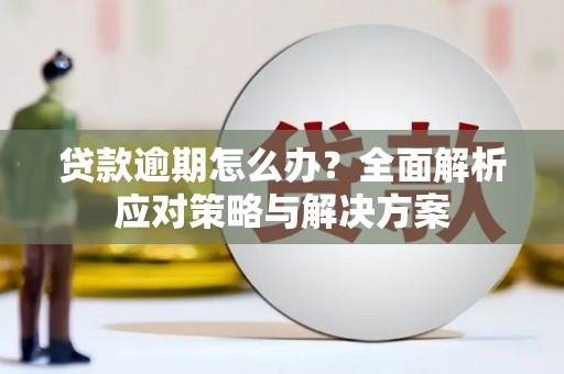 仑背贷款逾期怎么办？全面解析应对策略与解决方案