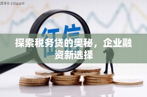 仑背探索税务贷的奥秘，企业融资新选择