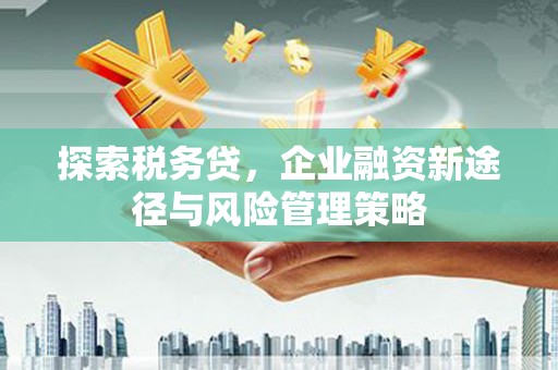 仑背探索税务贷，企业融资新途径与风险管理策略